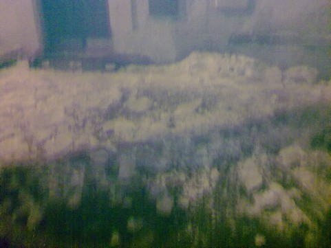 foto nokia 021.jpg