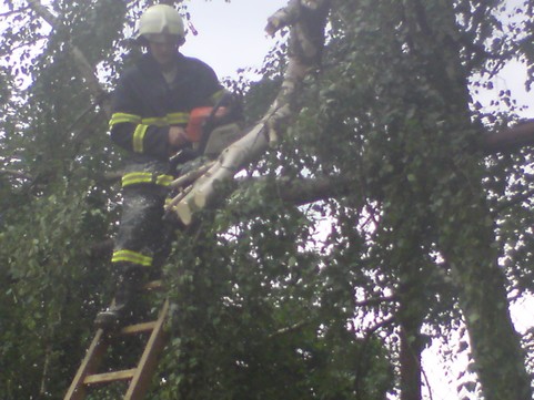 foto nokia 038.jpg